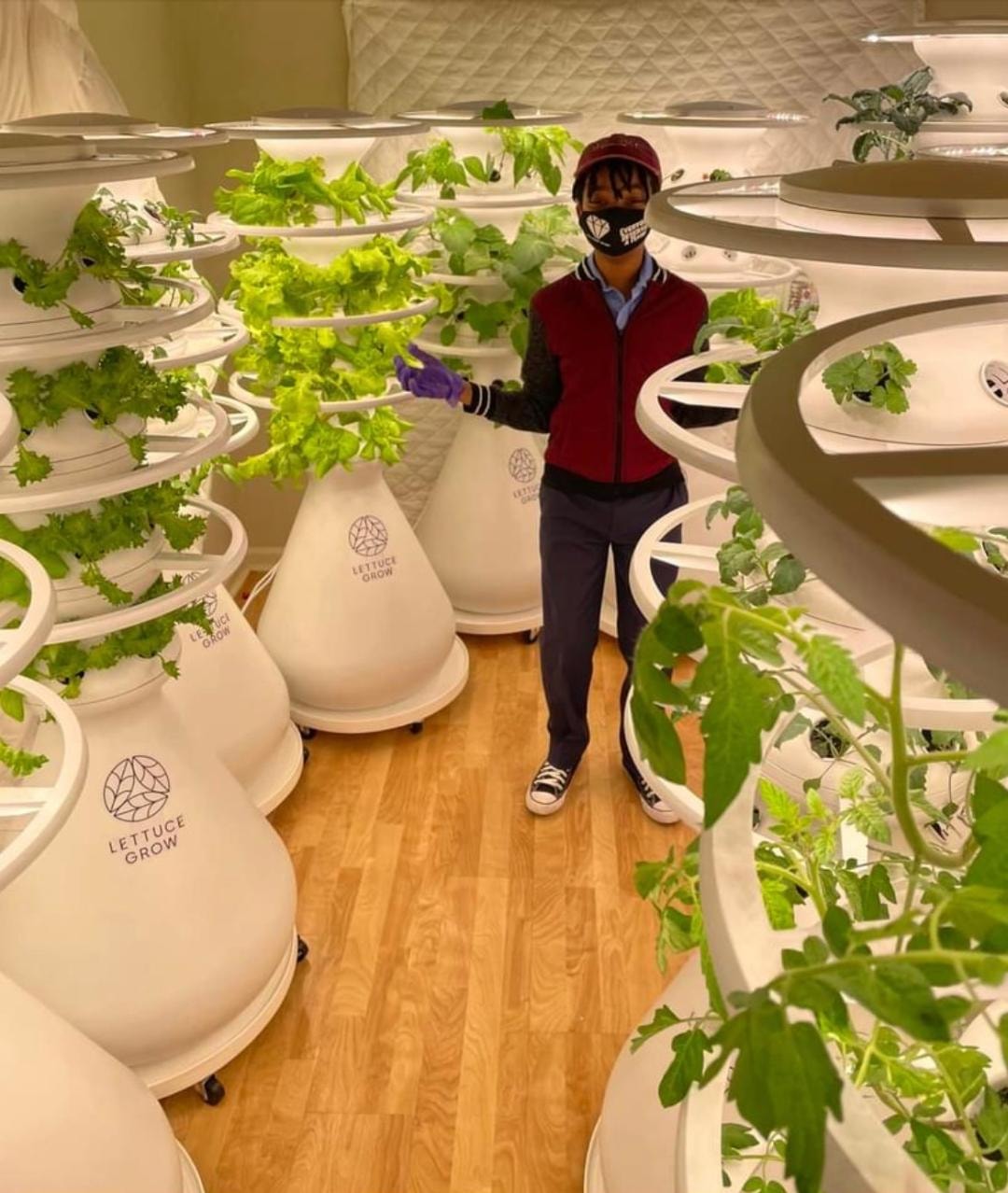 Malon in Lettuce Grow hydroponic facility