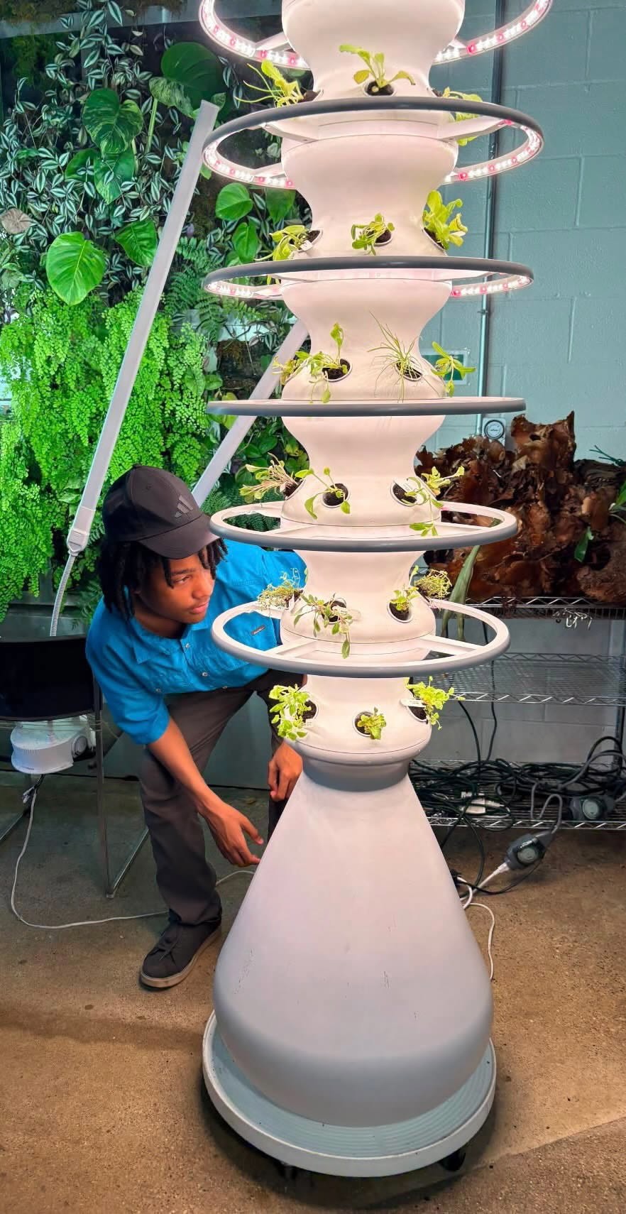Hydroponic farmstand